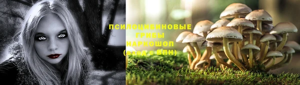 apvp Верхний Тагил