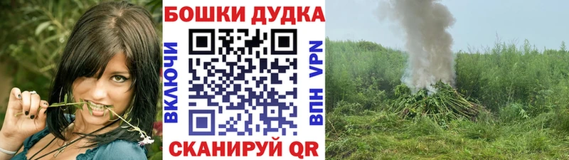 Бошки Шишки OG Kush  darknet официальный сайт  Славянск-на-Кубани 